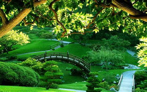 Greener gardens - Lawn Professional Services - gogreenergardens.com